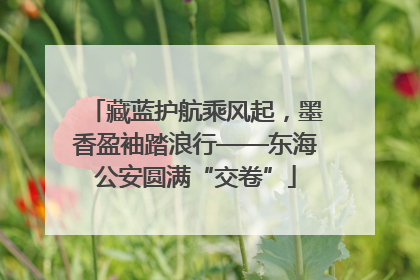 藏蓝护航乘风起，墨香盈袖踏浪行——东海公安圆满“交卷”