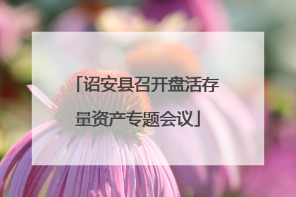 诏安县召开盘活存量资产专题会议