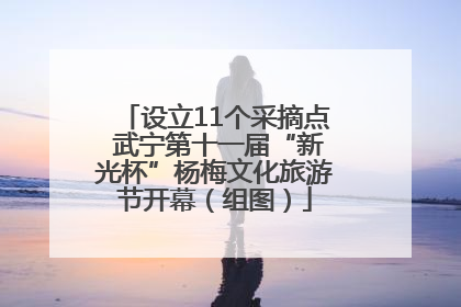 设立11个采摘点 武宁第十一届“新光杯”杨梅文化旅游节开幕（组图）