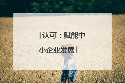 认可：赋能中小企业发展