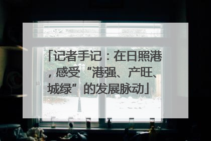 记者手记：在日照港，感受“港强、产旺、城绿”的发展脉动