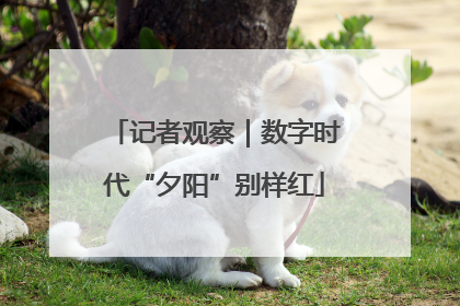 记者观察｜数字时代“夕阳”别样红