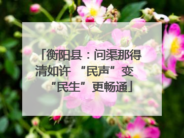 衡阳县：问渠那得清如许 “民声”变“民生”更畅通