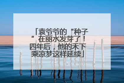 袁爷爷的“种子”在丽水发芽了！四年后，他的禾下乘凉梦这样延续