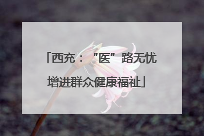 西充：“医”路无忧 增进群众健康福祉