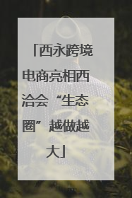 西永跨境电商亮相西洽会“生态圈”越做越大