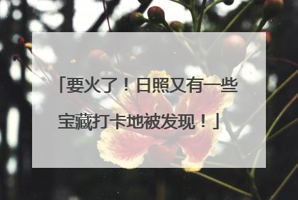 要火了！日照又有一些宝藏打卡地被发现！