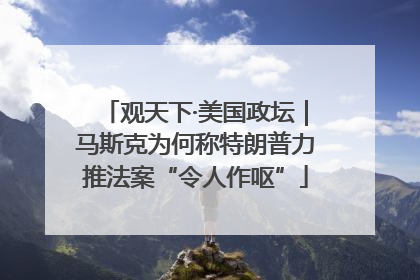 观天下·美国政坛｜马斯克为何称特朗普力推法案“令人作呕”