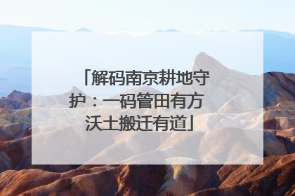 解码南京耕地守护：一码管田有方 沃土搬迁有道