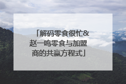 解码零食很忙&赵一鸣零食与加盟商的共赢方程式