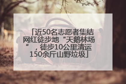 近50名志愿者集结网红徒步地“天鹅林场”，徒步10公里清运150余斤山野垃圾