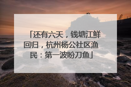 还有六天，钱塘江鲜回归，杭州杨公社区渔民：第一波盼刀鱼