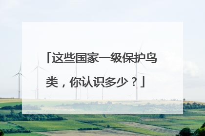 这些国家一级保护鸟类，你认识多少？