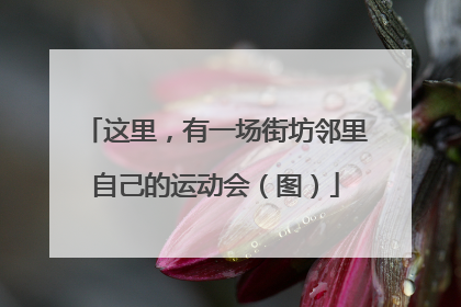 这里，有一场街坊邻里自己的运动会（图）