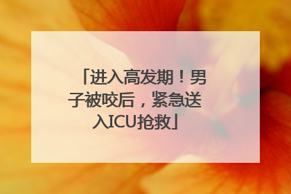 进入高发期！男子被咬后，紧急送入ICU抢救