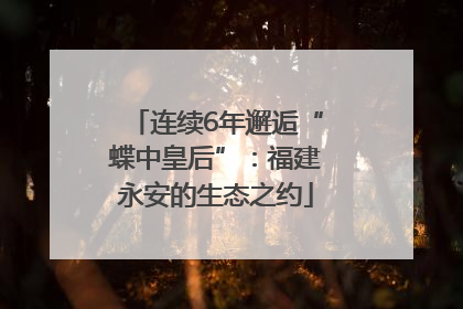 连续6年邂逅“蝶中皇后”：福建永安的生态之约