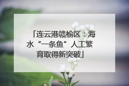 连云港赣榆区：海水“一条鱼”人工繁育取得新突破