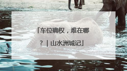 车位确权，难在哪？｜山水洲城记