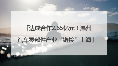 达成合作2.65亿元！温州汽车零部件产业“链接”上海