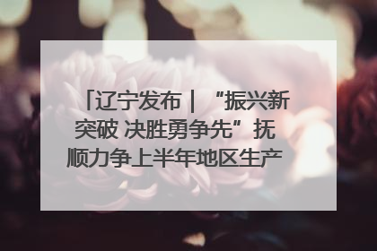 辽宁发布｜“振兴新突破 决胜勇争先”抚顺力争上半年地区生产总值增长7%左右