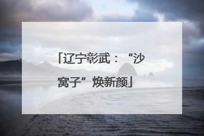 辽宁彰武：“沙窝子”焕新颜