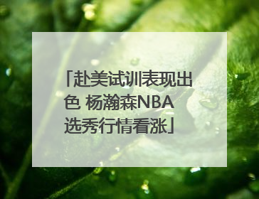 赴美试训表现出色 杨瀚森NBA选秀行情看涨