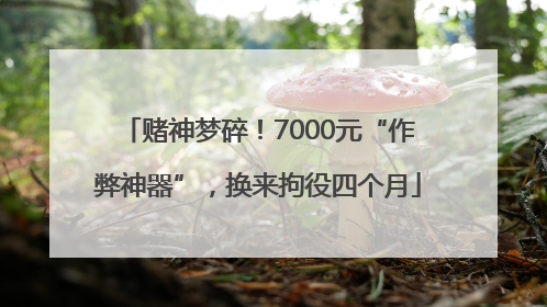 赌神梦碎！7000元“作弊神器”，换来拘役四个月