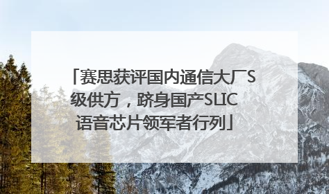 赛思获评国内通信大厂S级供方，跻身国产SLIC语音芯片领军者行列