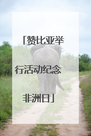 赞比亚举行活动纪念非洲日