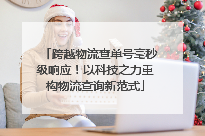 跨越物流查单号毫秒级响应！以科技之力重构物流查询新范式