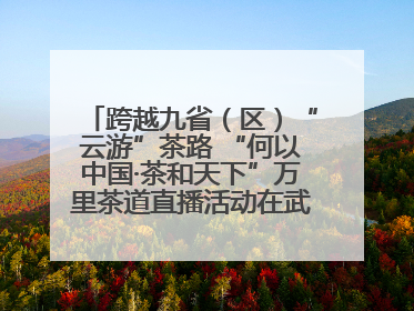 跨越九省（区）“云游”茶路 “何以中国·茶和天下”万里茶道直播活动在武夷山启动