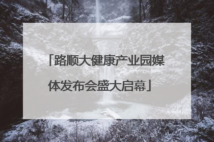 路顺大健康产业园媒体发布会盛大启幕