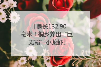 身长132.90毫米！桐乡养出“巨无霸”小龙虾
