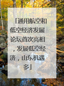 通用航空和低空经济发展论坛首次亮相，发展低空经济，山东机遇多