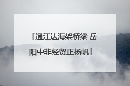 通江达海架桥梁 岳阳中非经贸正扬帆