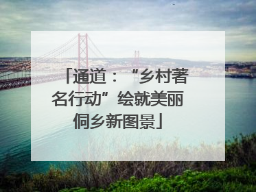 通道：“乡村著名行动”绘就美丽侗乡新图景
