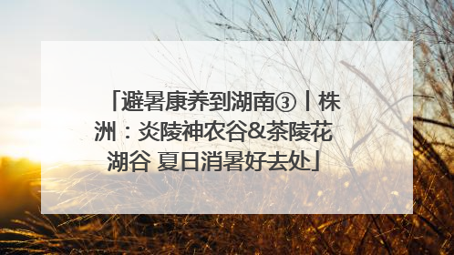 避暑康养到湖南③丨株洲：炎陵神农谷&茶陵花湖谷 夏日消暑好去处