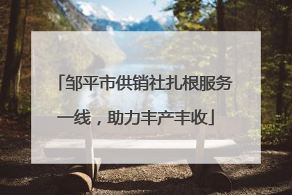 邹平市供销社扎根服务一线，助力丰产丰收