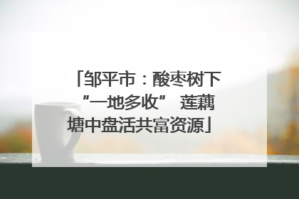 邹平市：酸枣树下“一地多收” 莲藕塘中盘活共富资源