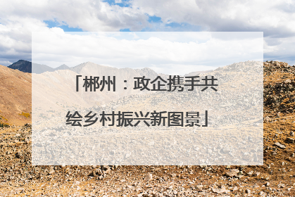 郴州：政企携手共绘乡村振兴新图景