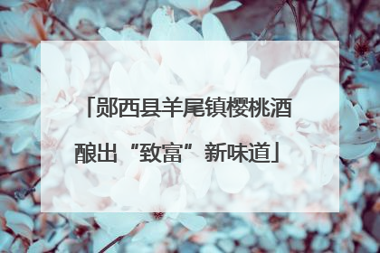 郧西县羊尾镇樱桃酒酿出“致富”新味道