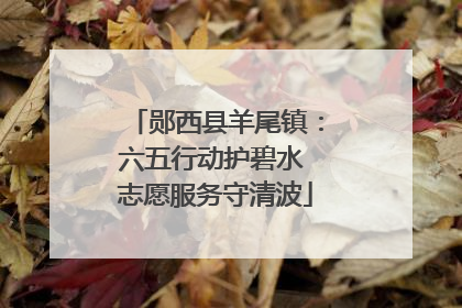 郧西县羊尾镇：六五行动护碧水 志愿服务守清波