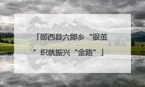 郧西县六郎乡“银茧”织就振兴“金路”