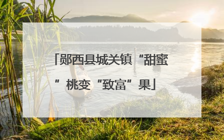 郧西县城关镇“甜蜜”桃变“致富”果
