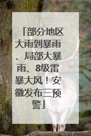 部分地区大雨到暴雨、局部大暴雨、8级雷暴大风！安徽发布三预警