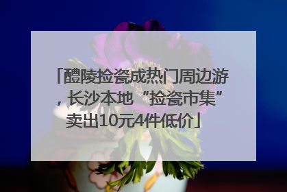 醴陵捡瓷成热门周边游，长沙本地“捡瓷市集”卖出10元4件低价
