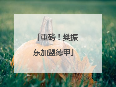 重磅！樊振东加盟德甲