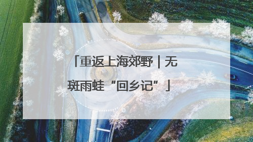 重返上海郊野｜无斑雨蛙“回乡记”