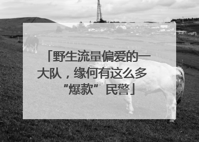 野生流量偏爱的一大队，缘何有这么多“爆款”民警