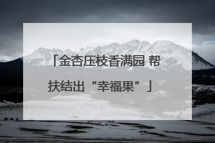 金杏压枝香满园 帮扶结出“幸福果”